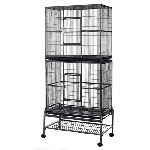 Rat ferret bird - bird, cage