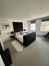 Luxury Plush Black Velvet King