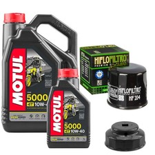 FZ1000 FZ1 Fazer ABS SA Motul