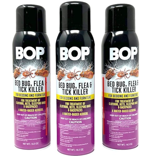 Bed bug flea tick - bed,
