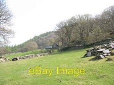 Photo 6x4 Pasture land