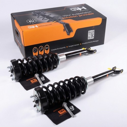 Complete struts assembly - complete,