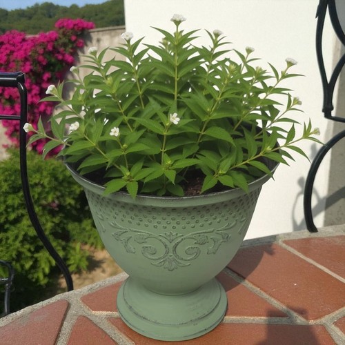 Eden urn 20cm - 20cm, decorative