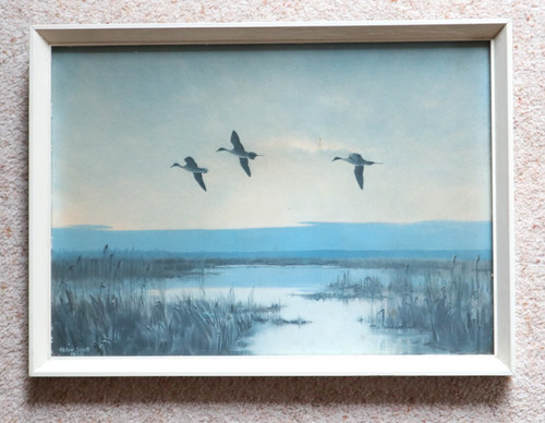 Sir peter scott - vintage, framed