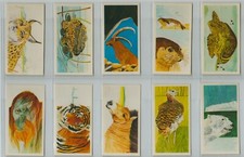 Brooke Bond. A full set, 40
