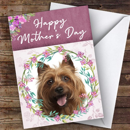 Australian terrier dog - australian,