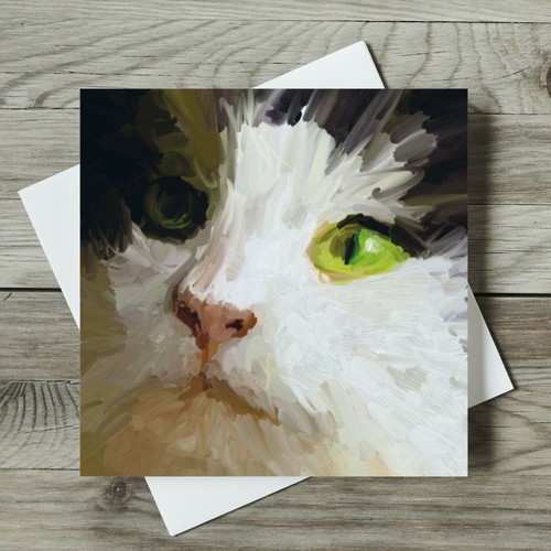 Norwegian forest cat - forest,