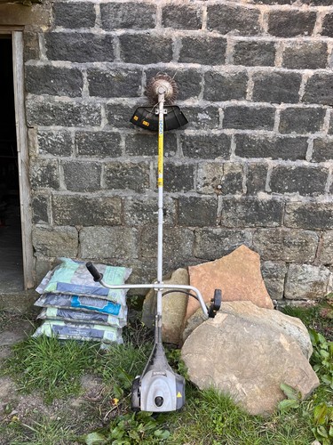 Titan petrol strimmer - petrol,