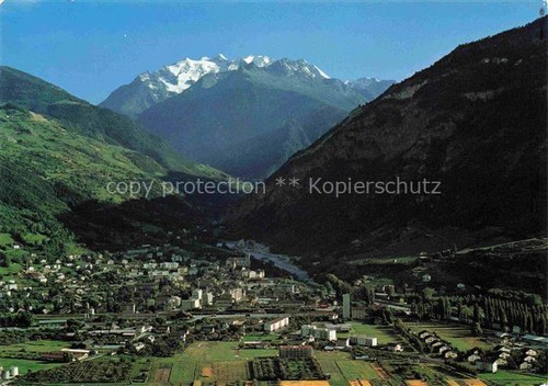 Visp viege walluis - viege,
