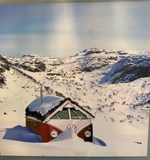 Winter Chill. Frozen woodland