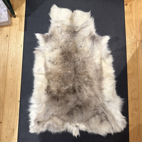 Genuine icelandic reindeer - genuine,