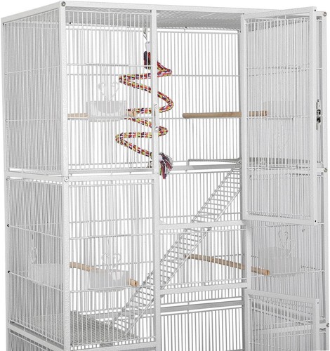 Large african grey - large, parrot