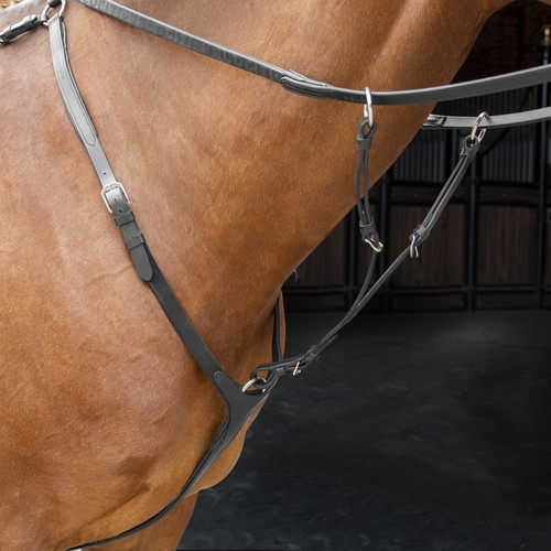 Shires velociti rapida leather - shires,