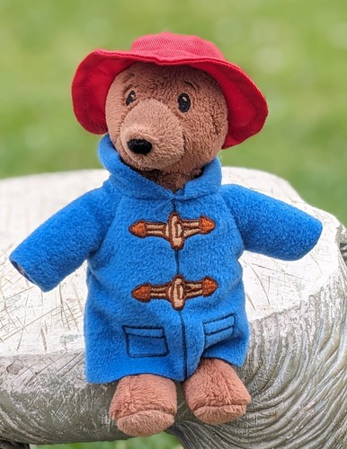 Paddington bear soft plush toy - plush,
