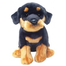 Faithful friends, Rottweiler