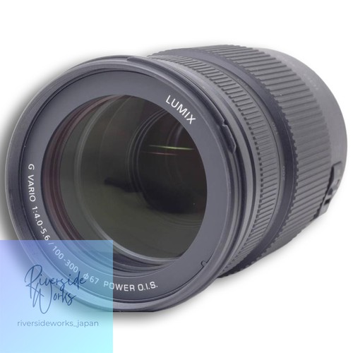 Panasonic lumix vario - g,