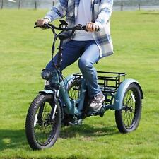 FAFREES F20 MATE 20in Electric