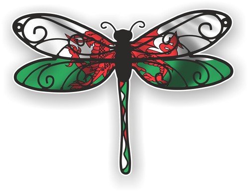 Beautiful dragonfly insect - beautiful,