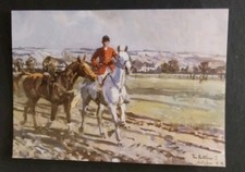 Horse Postcard, By Peter