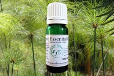 Papyrus Pure Essential Oil