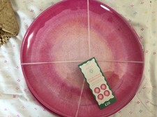 NEXT New Pink  Set of 4 Picnic Dinner Plates