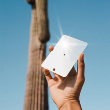 Survival Mirror Signalling