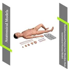 Multifunctional Patient Care