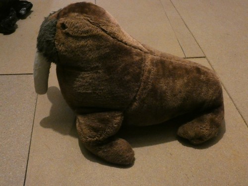 Very rare pillow - rare, walrus