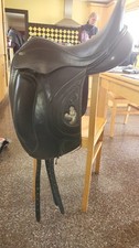 fairfax world class dressage