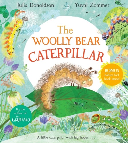 Woolly bear caterpillar - woolly, by