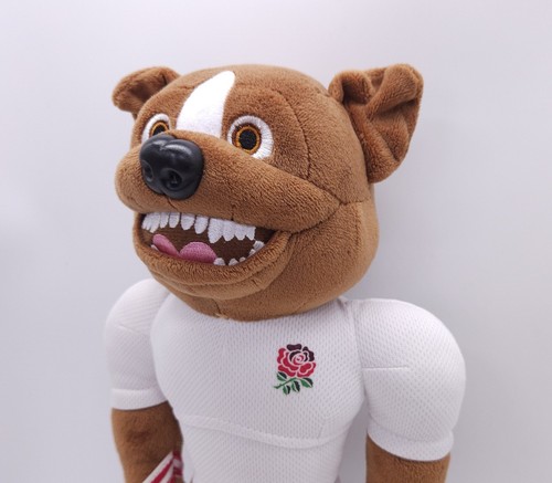 England national rugby union - england,