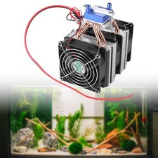 Fish Shrimp Tank Aquarium
