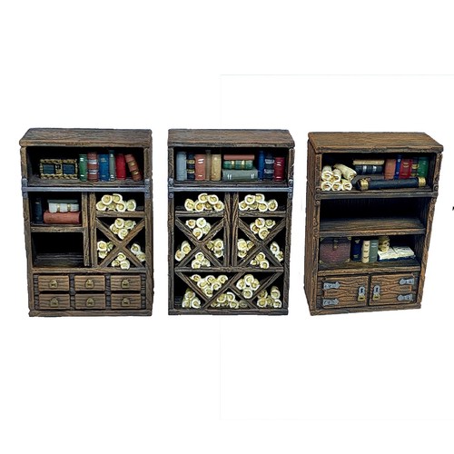 Painted large library - library, shelves