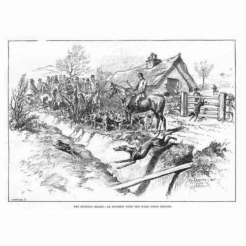 Fox hunting incident with - an,