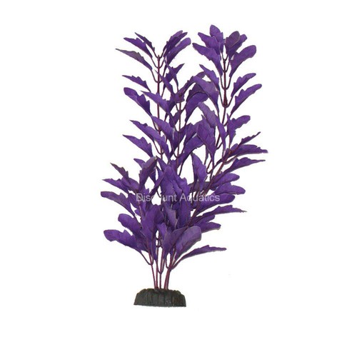 Nasaea purple silk aquarium - nasaea,