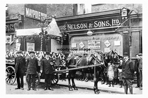 Pt3328 horse cart outside - horse,