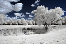 Nikon D50 Infrared Conversion Service. Infrared 720nm. Infrared photography IR.