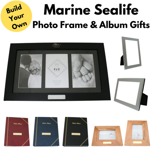 Marine sealife photo - photo, &