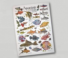 Fridge magnet tropical - fridge,