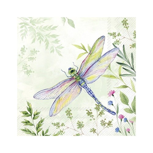 Favourite place dragonfly - favourite,
