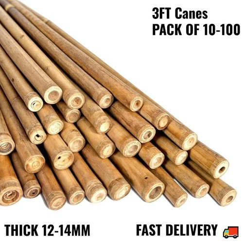 3ft bamboo canes - canes, thick