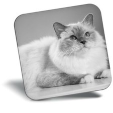 Awesome Fridge Magnet bw - Sacred White Birman Cat Kitten  #36481