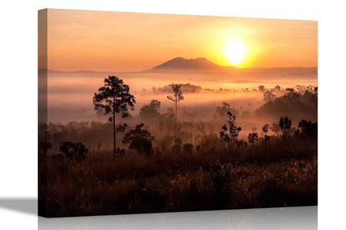 Misty african landscape canvas - misty,