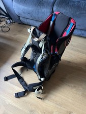 LittleLife Little Life Cross Country Hiking Baby Toddler Child Backpack Carrier