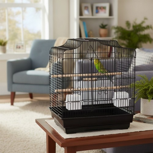 Liberta siam bird - siam, cage
