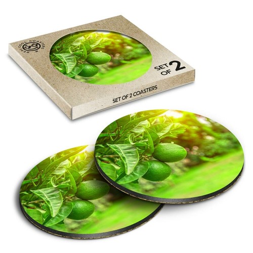 Boxed round coasters - 2,