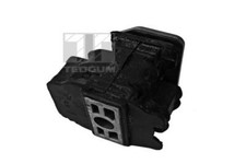 00740831 TEDGUM ENGINE