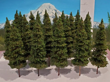 MOOSE CREEK TREES - Fir / Pine