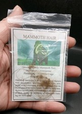 Pleistocene Ice Age Woolly