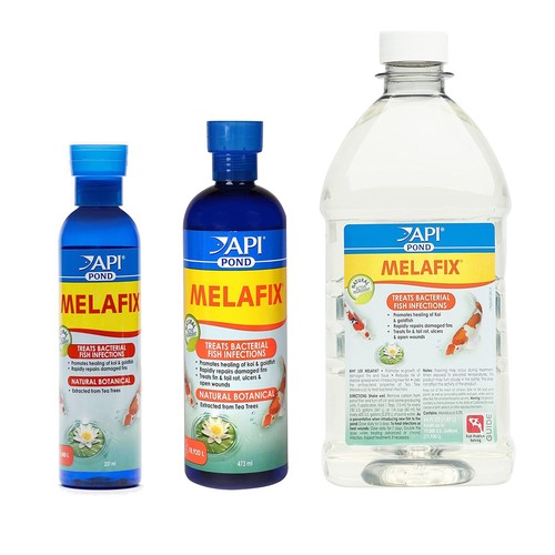 Api pond melafix fish - melafix,